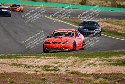 media/Feb-25-2024-Speed Ventures (Sun) [[b9a2a97a4d]]/Mustang Drivers Club/Session 3 (Turn 2)/